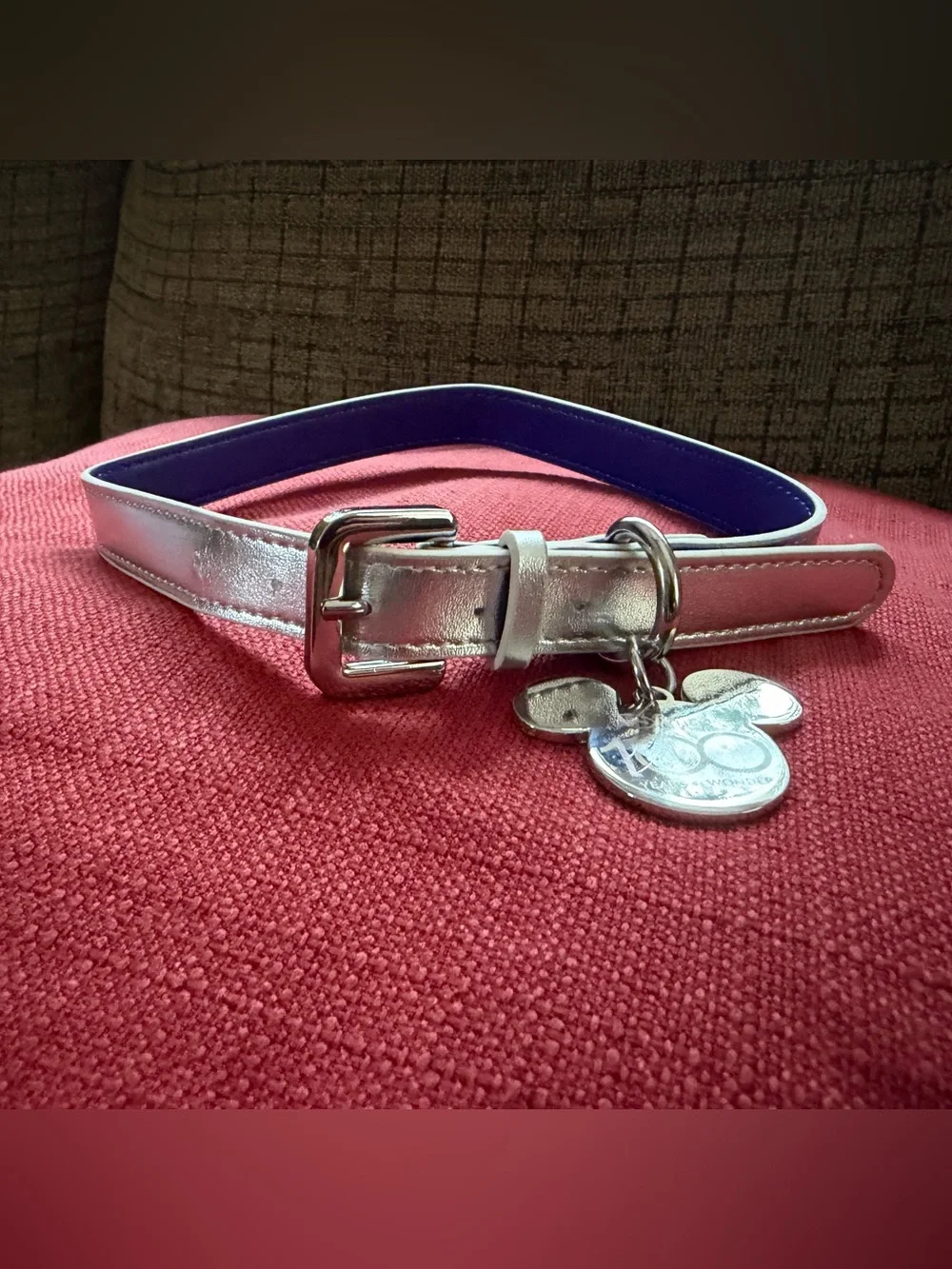Disney Parks 100th Anniversary Dog Collar - Platinum Silver Size M